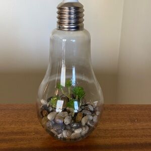 Imitation plant in light Bulb Press top for light  Takes a 3v bulb